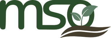 MSO BIOMASSE GmbH Logo